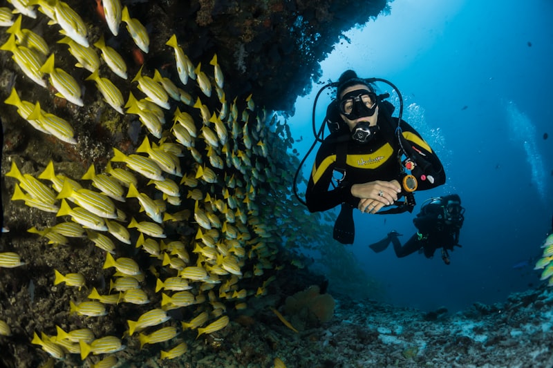 Magical Deep Sea Ocean Explorer